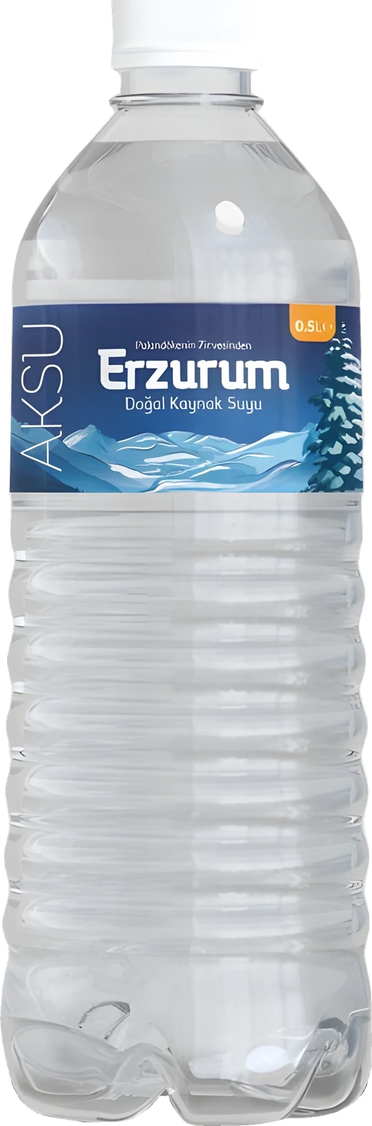 Erzurum Aksu 0,5 litre doğal kaynak suyu